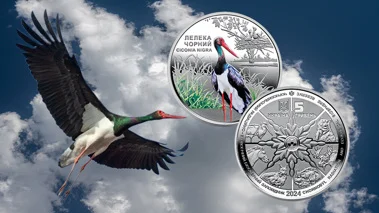 Пам'ятна монета "Чорнобиль. Відродження. Лелека чорний"