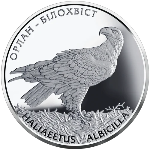 "Орлан-білохвіст" у футлярі