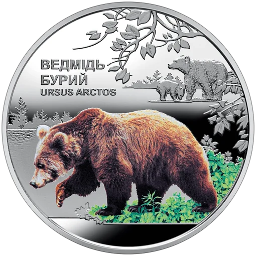 Чорнобиль. Відродження. Ведмідь бурий (н)