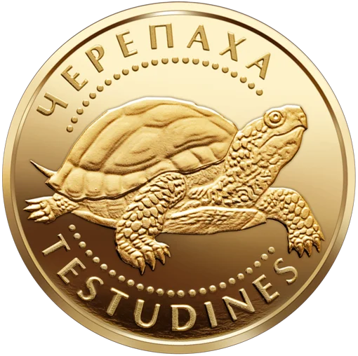 &quot;Черепаха&quot; у футлярі