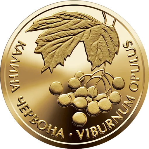 &quot;Калина червона&quot; у футлярі