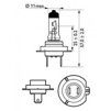 Лампа галогенна Philips H7 LongLife EcoVision 2шт/бл 12972LLECOS2 - 3