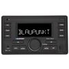 2-DIN медиа-ресивер Blaupunkt PALMA 190BT - 2
