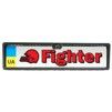 Камера заднего/переднего вида Fighter FC-101 (в рамке номера) - 1
