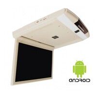 Стельовий монітор Baxster NT-156RA 15.6" beige