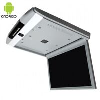 Стельовий монітор Baxster NT-173RA 17,3" gray