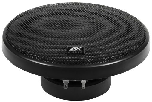 Акустика ESX SXE6.2W (мидбас)