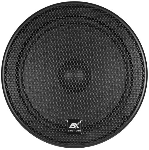 Акустика ESX SXE6.2W (мидбас)