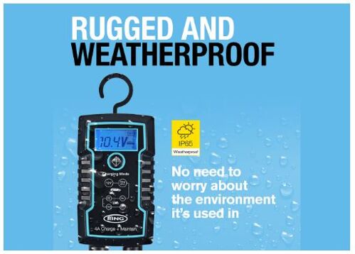 Интеллектуальное зарядное устройство RING RESC804 12В/6В, 4А