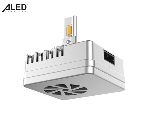 Лампы светодиодные ALed X D5S 6000K 35W XD5SD08 (2шт)