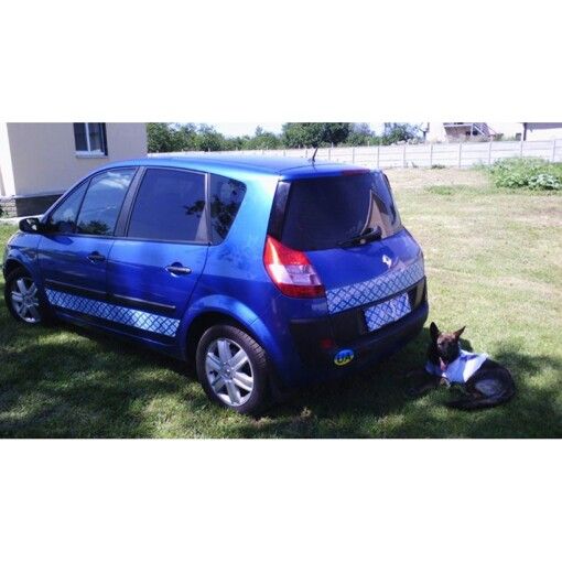 Наклейка Автоорнамент 15Б-008