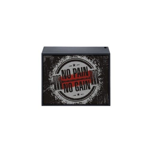 Портативная акустическая система Mac Audio BT Style 1000 NPNG