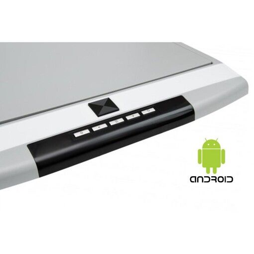 Монитор потолочный Baxster NT-173RA 17,3&quot; gray