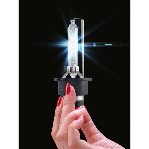 Ксенонова лампа Infolight D2R 5000K (+50%)