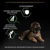 Purina Pro Plan Puppy Large Robust Healthy Start Сухий корм з куркою для цуценят і юніорів великих і гігантських порід - 7