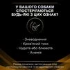 Purina Pro Plan Veterinary Diets NF Renal Function Лікувальний сухий корм для дорослих собак із хворими нирками - 6