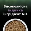 Purina Pro Plan LiveClear Sterilised Senior Turkey Сухий корм для котів від 7 років для зменшення алергенів на шерсті та після стерилізації, з індичкою - 8