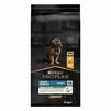 Purina Pro Plan Puppy Large Robust Healthy Start Сухий корм з куркою для цуценят і юніорів великих і гігантських порід - 1