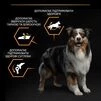 Purina Pro Plan Dog Adult Medium Everyday Nutrion Сухий корм з куркою для дорослих собак середніх порід - 8
