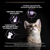 Purina Pro Plan Kitten Healthy Start Chicken Сухий корм з куркою для кошенят, вагітних і годуючих кішок - 7