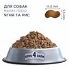 Клуб 4 Лапи Adult Small Breeds Lamb &amp; Rice - гіпоалергенний сухий корм з ягням та рисом для дорослих собак малих порід - 3