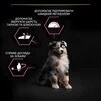 Purina Pro Plan Puppy Medium Sensitive Skin OptiDerma Salmon Сухий корм з лососем для цуценят середніх порід із чутливою шкірою - 7