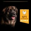 Purina Pro Plan Large Robust Adult Everyday Nutrion Chicken Сухий корм з куркою для дорослих собак великих і гігантських порід - 6