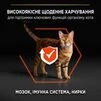 Purina Pro Plan Adult Vital Functions Сухий корм з лососем для дорослих котів - 5