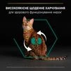 Purina Pro Plan Adult Renal Plus Сухий корм для дорослих котів з куркою - 5