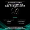 Purina Pro Plan Veterinary Diets EN Gastrointestinal Сухий корм-дієта для лікування кишкових розладів у котів - 6