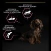Purina Pro Plan Small&amp;Mini Adult Sensitive Skin Salmon - сухий корм з лососем для дорослих собак малих порід із чутливою шкірою - 7