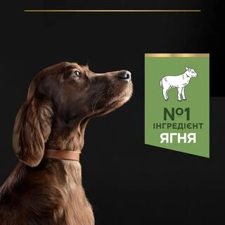 Purina Pro Plan Dog Adult Large Athletic Sensitive Digestion Lamb Сухий корм з ягням для дорослих собак великих порід атлетичної статури із чутливим травленням