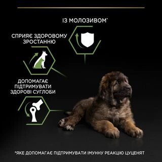 Purina Pro Plan Puppy Large Robust Healthy Start Сухий корм з куркою для цуценят і юніорів великих і гігантських порід
