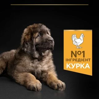 Purina Pro Plan Puppy Large Robust Healthy Start Сухий корм з куркою для цуценят і юніорів великих і гігантських порід