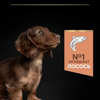 Purina Pro Plan Small&amp;Mini Puppy Sensitive Skin Salmon Сухий корм з лососем для цуценят малих порід із чутливою шкірою
