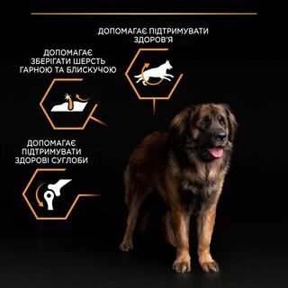 Purina Pro Plan Large Robust Adult Everyday Nutrion Chicken Сухий корм з куркою для дорослих собак великих і гігантських порід