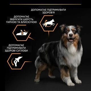 Purina Pro Plan Dog Adult Medium Everyday Nutrion Сухий корм з куркою для дорослих собак середніх порід