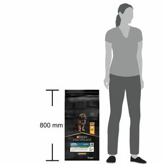 Purina Pro Plan Puppy Large Robust Healthy Start Сухий корм з куркою для цуценят і юніорів великих і гігантських порід