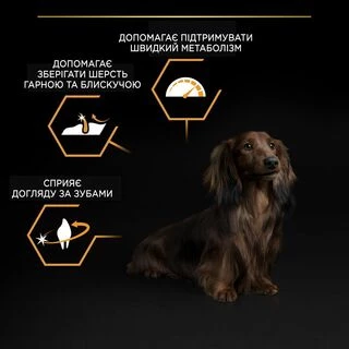 Purina Pro Plan Dog Adult Small &amp; Mini Everyday Nutrion Сухий корм з куркою для дорослих собак малих і мініатюрних порід