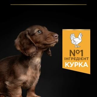 Purina Pro Plan Puppy Small &amp; Mini Healthy Start Сухий корм з куркою для цуценят малих і мініатюрних порід