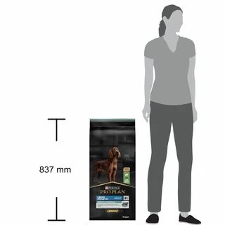 Purina Pro Plan Dog Adult Large Athletic Sensitive Digestion Lamb Сухий корм з ягням для дорослих собак великих порід атлетичної статури із чутливим травленням