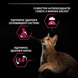 Purina Pro Plan Cat Adult Sterilised Savoury Duo Duck &amp; Liver Сухий корм для дорослих котів після стерилізації з качкою та печінкою