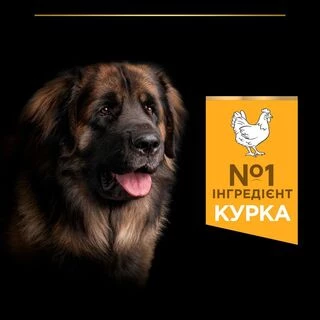 Purina Pro Plan Large Robust Adult Everyday Nutrion Chicken Сухий корм з куркою для дорослих собак великих і гігантських порід