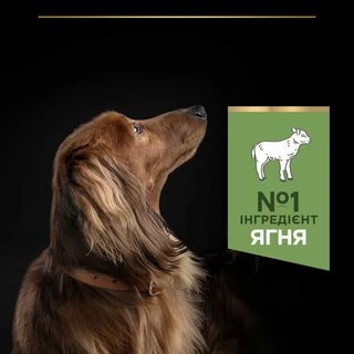 Purina Pro Plan Dog Adult Small &amp; Mini Sensitive Digestion Lamb Сухий корм із ягням для дорослих собак малих порід із чутливим травленням