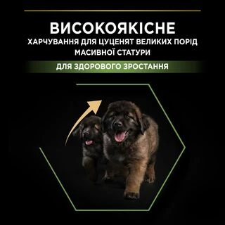 Purina Pro Plan Puppy Large Robust Healthy Start Сухий корм з куркою для цуценят і юніорів великих і гігантських порід
