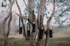 Чохол Tribe Neoprene Cover для експедиційного термоса 1,6 л  T-DF-0012-black - 14