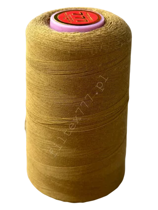 Nici 40/2 kolor nr 169 (1 szt.)
