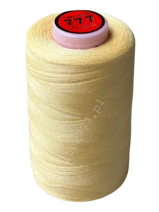 Nici 40/2 kolor nr 300 (1 szt.)