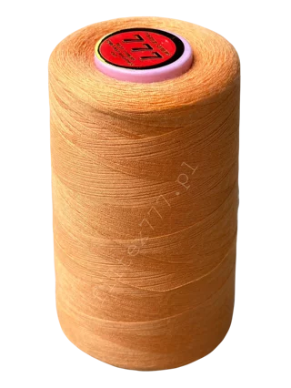 Nici 40/2 kolor nr 312 (1 szt.)