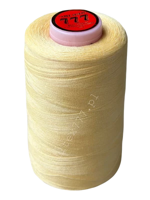 Nici 40/2 kolor nr 300 (1 szt.)